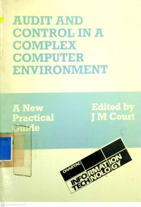 Image of Audit and Control in A Complex Computer Environment
