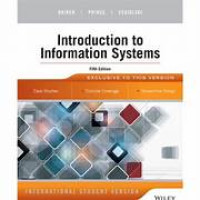 Image of Introduction to Information Systems